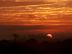 African sunrise.gif